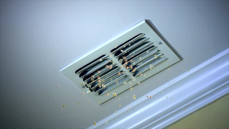 Best Commercial Air Duct Cleaning  in Green, OH